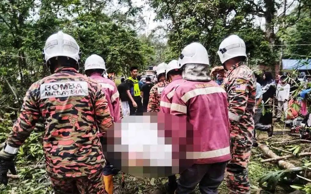 முகாம் மீது மரம் விழுந்தது: மாது பலி, மேலும் இருவர் படுகாயம்