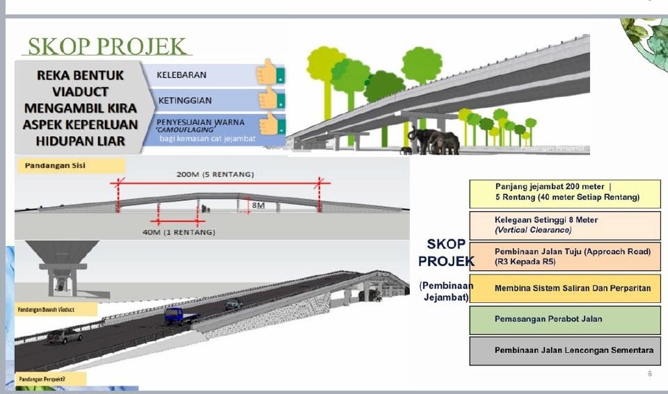 நெடுஞ்சாலைகளில் வனவிலங்கு விபத்துக்குள்ளாவதை தடுக்க நடவடிக்கை