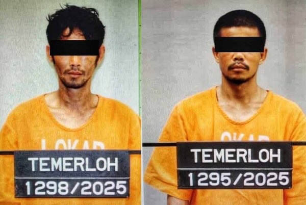 இரண்டு கேபல் திருடர்கள் பிடிபட்டனர்