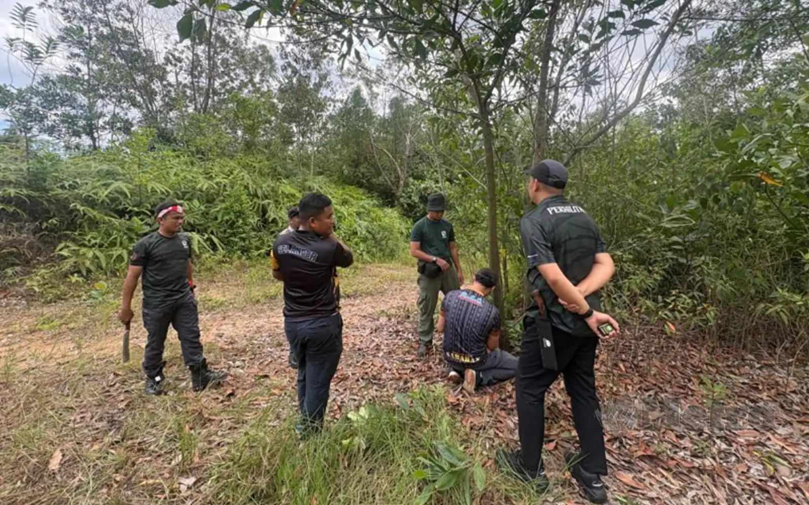 அம்பாங்கில் வீட்டிற்குப் பின்னால் கேட்ட புலியின் உறுமலால் மக்கள் அச்சம்!
