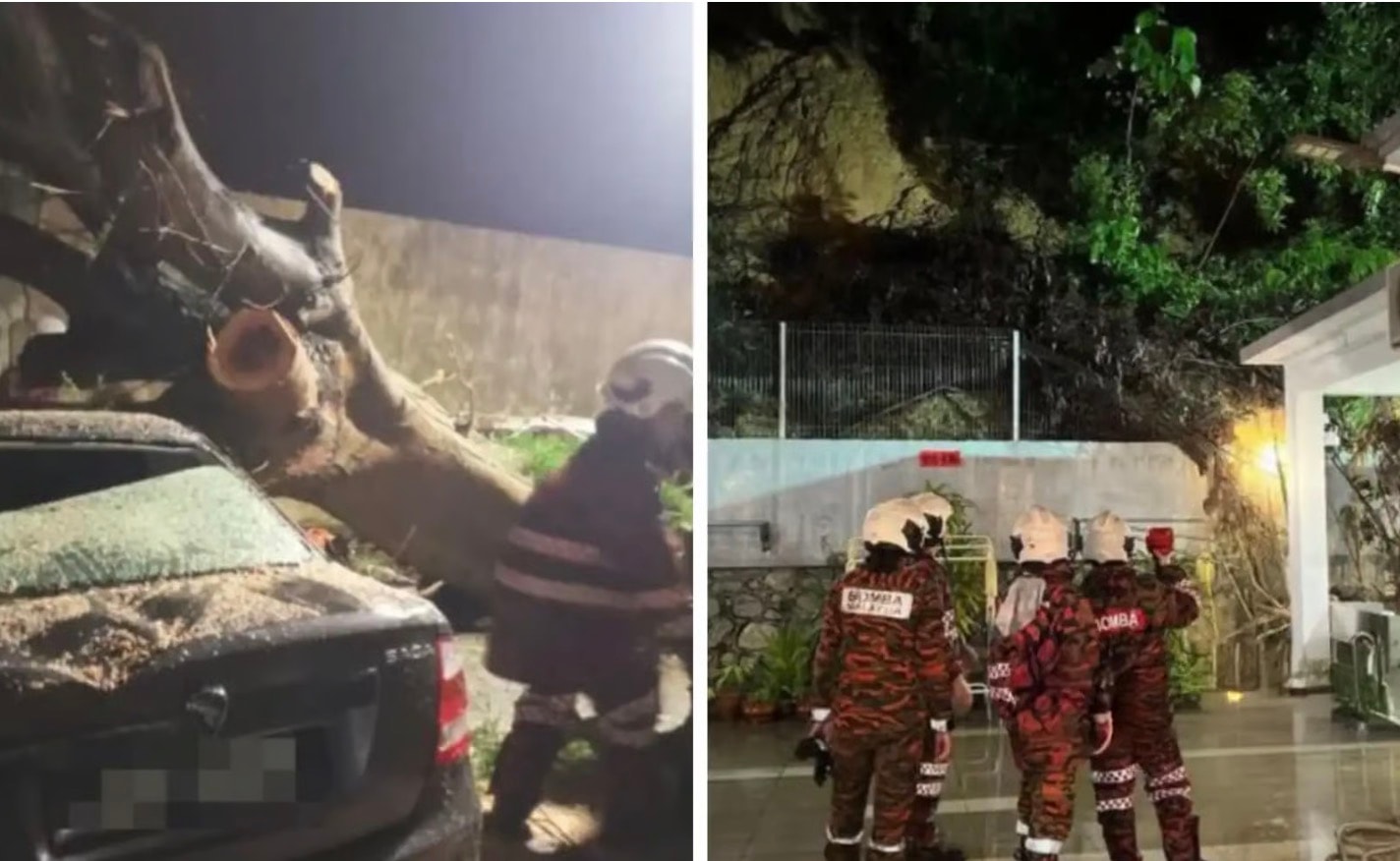 சென்யார் புயலினால் ஒருவர் மரணம்: மரங்கள் விழுந்து 49  சம்பவங்கள் பதிவு