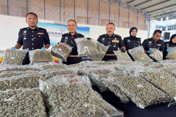 கணவன், மனைவி உட்பட எண்மர் கைது, 8.67 மில்லியன் ரிங்கிட் மதிப்புள்ள கஞ்சாப் பூக்கள் பறிமுதல்