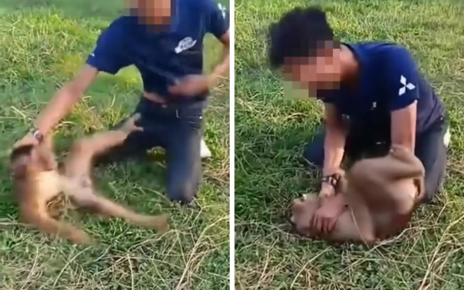 குரங்கைத் துன்புறுத்திய இரு நபர்கள் கைது