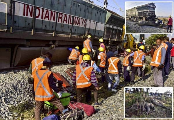 அசாமில் எக்ஸ்பிரஸ் ரயிலின் 5 பெட்டிகள் தடம் புரண்டதில் 8 யானைகள் மாண்டன