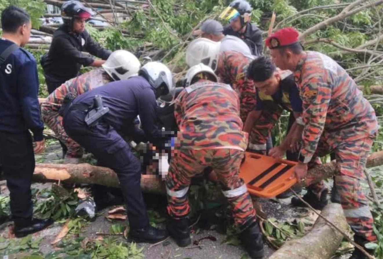 மரம் சாய்ந்ததில் மோட்டர் சைக்கிளோட்டி பலி