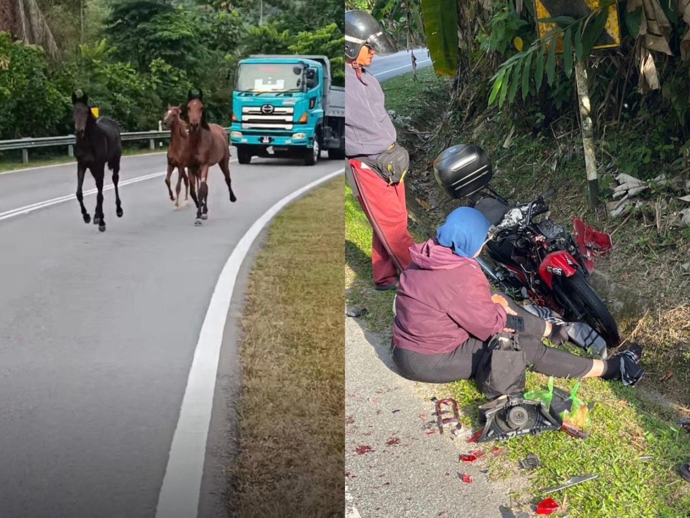 நடமாடிய குதிரை மீது மோதிய மோட்டார் சைக்கிள்: பெண் தொழிலாளி காயம்