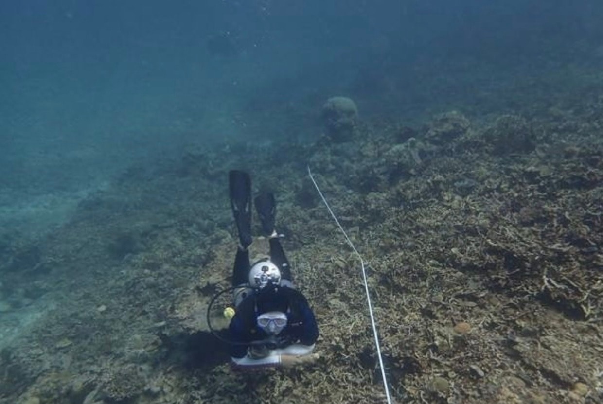 கடந்த 3 ஆண்டுகளில் 47,250 கால்பந்து மைதானம் அளவிலான பவளப் பாறைகளை இழந்தது மலேசியா