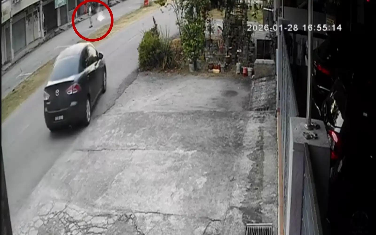 பத்து காஜாவில் நாயைக் கொன்ற குற்றச்சாட்டில் முதியவர் கைது