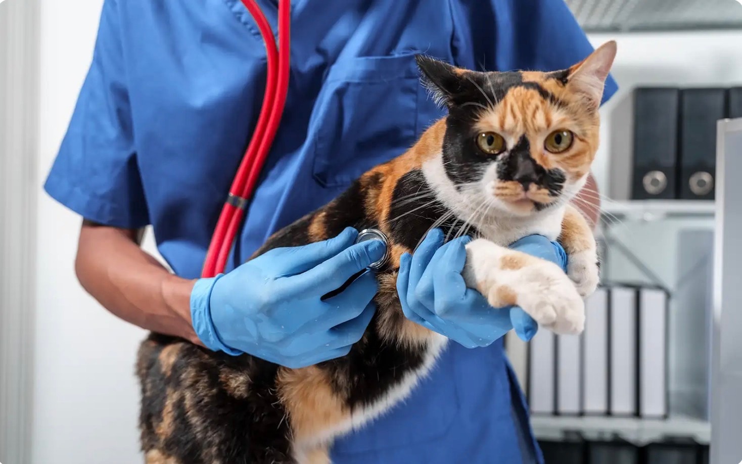 பகாங்கில் முதல் முறையாக நடமாடும் கால்நடை மருத்துவமனை அறிமுகம்