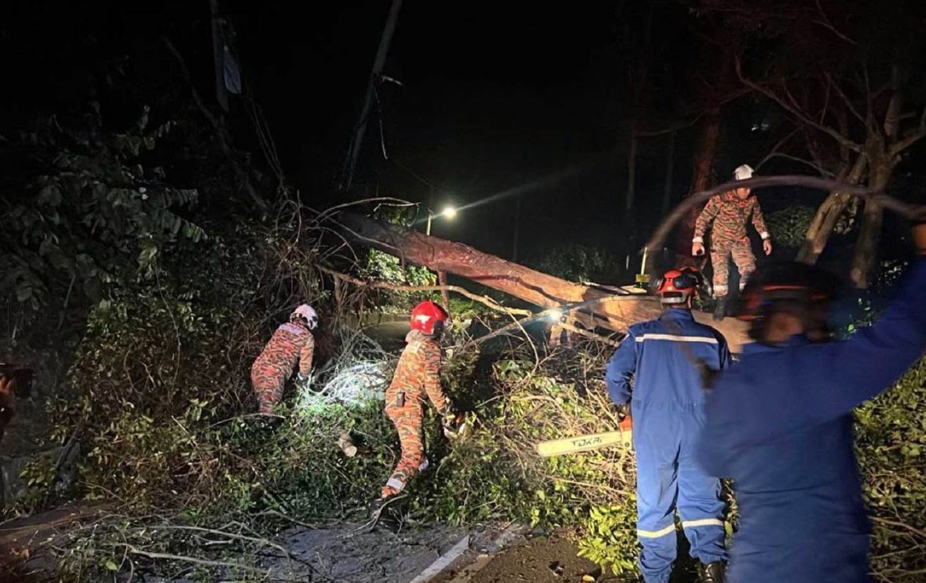 ஜார்ஜ்டவுனில் கார் மீது மரம் விழுந்து விபத்து: மூவர் நல்வாய்ப்பாக உயிர் தப்பினர்