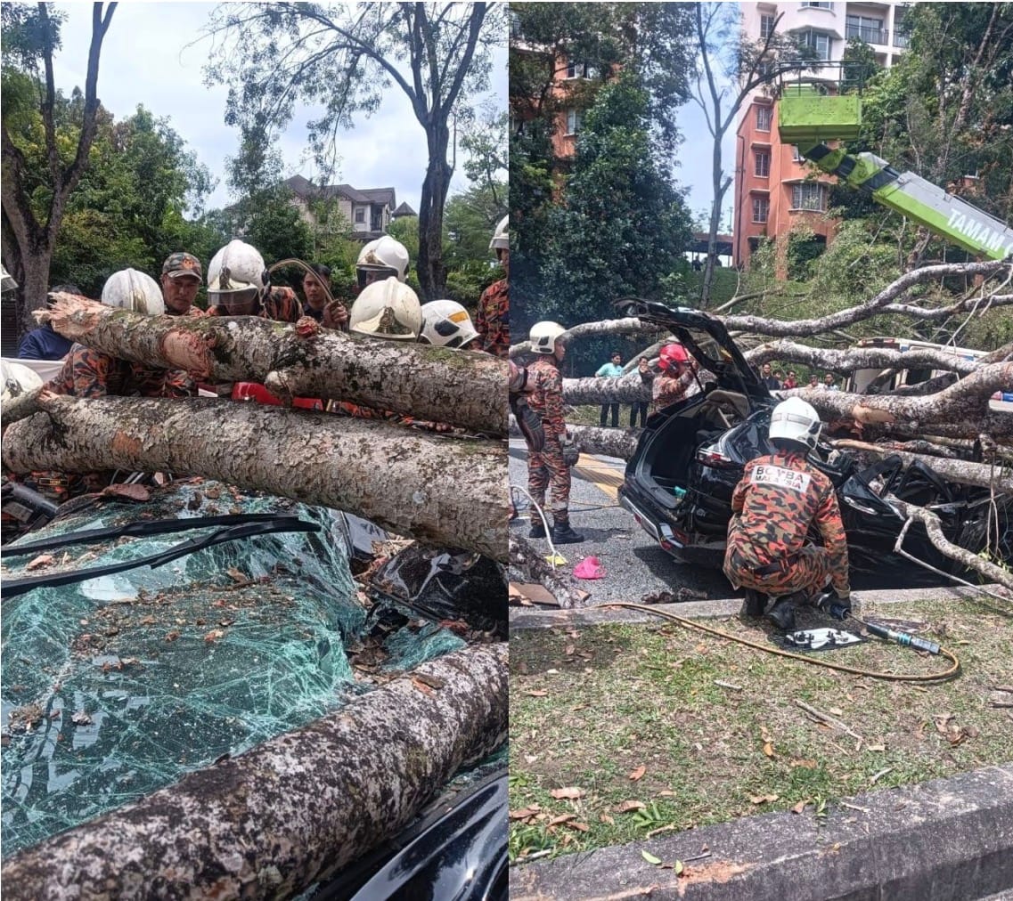 ஷா ஆலமில் கார் மீது மரம் விழுந்த விபத்தில் இரண்டு பெண்கள் காயம் 