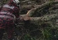 கோலாலம்பூரில் பலத்த காற்றுடன் கனமழை; 6 இடங்களில் மரங்கள் விழுந்து பாதிப்பு