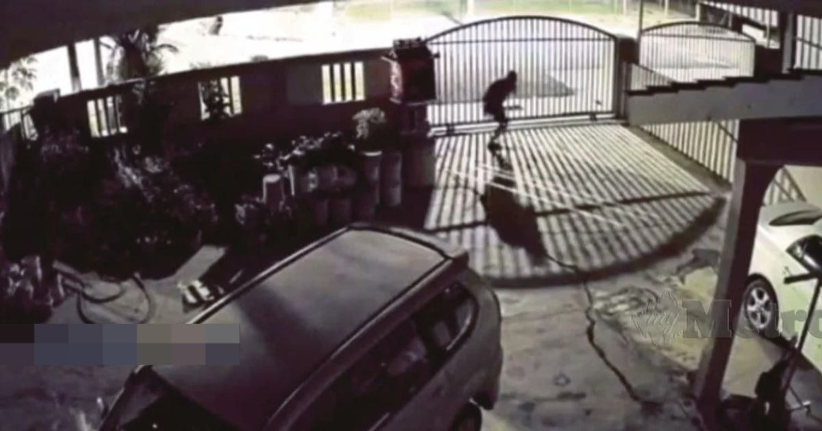 பெண்களின் உள்ளாடைகளைத் திருடி வந்த நபர் கைது