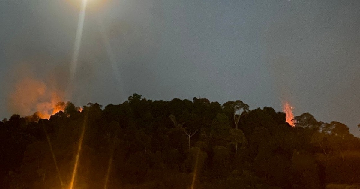 புஞ்சாக் ஜலில் காட்டுத்தீ முழுமையாக அணைப்பு: 37 ஏக்கர் பரப்பளவு பாதிப்பு