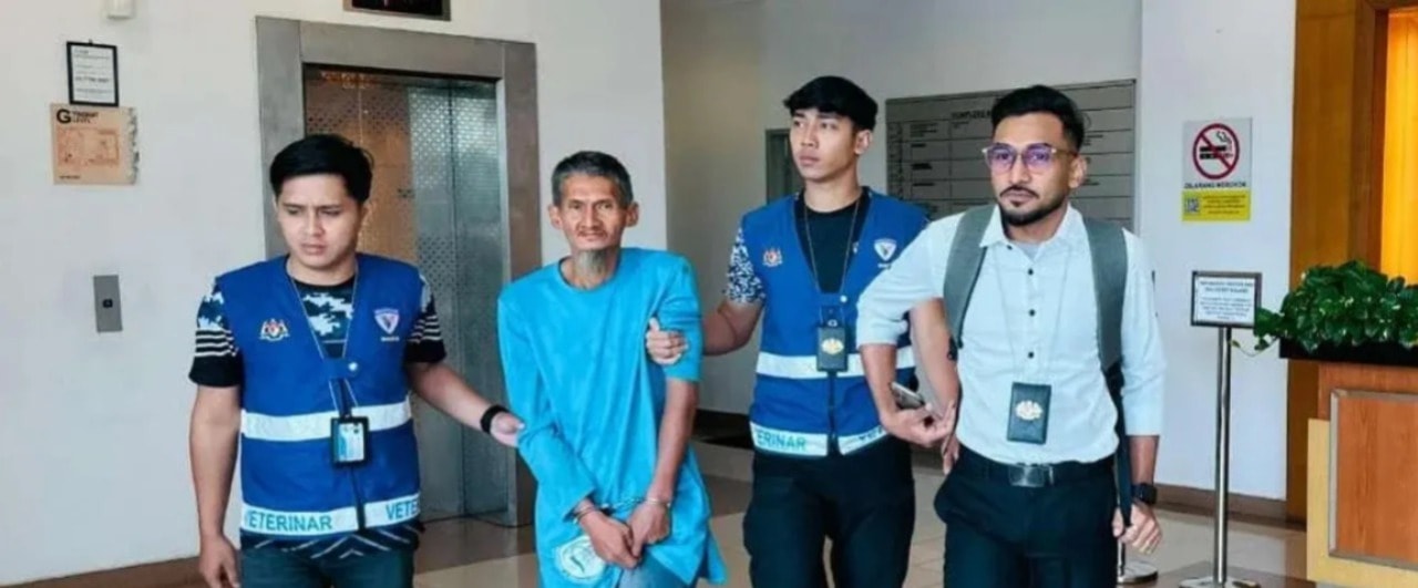 பூனையைச் சுவரில் வீசி சித்திரவதை: வேலையற்றவருக்கு 6 மாதச் சிறை