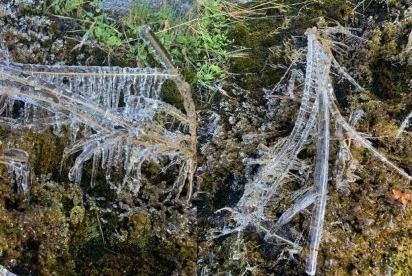 குனோங் கினபாலு மலையில் உறைபனி: சுற்றுலாப் பயணிகள் வியப்பு