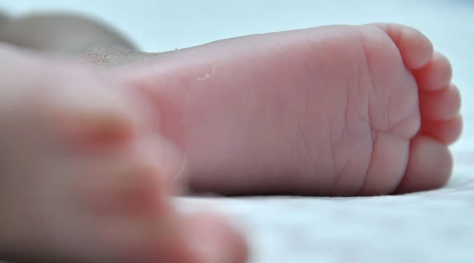 பெர்லிஸில் தலையில் ஏற்பட்ட காயத்தால் 8 மாதக் குழந்தை மரணம்: பராமரிப்பாளர் கைது