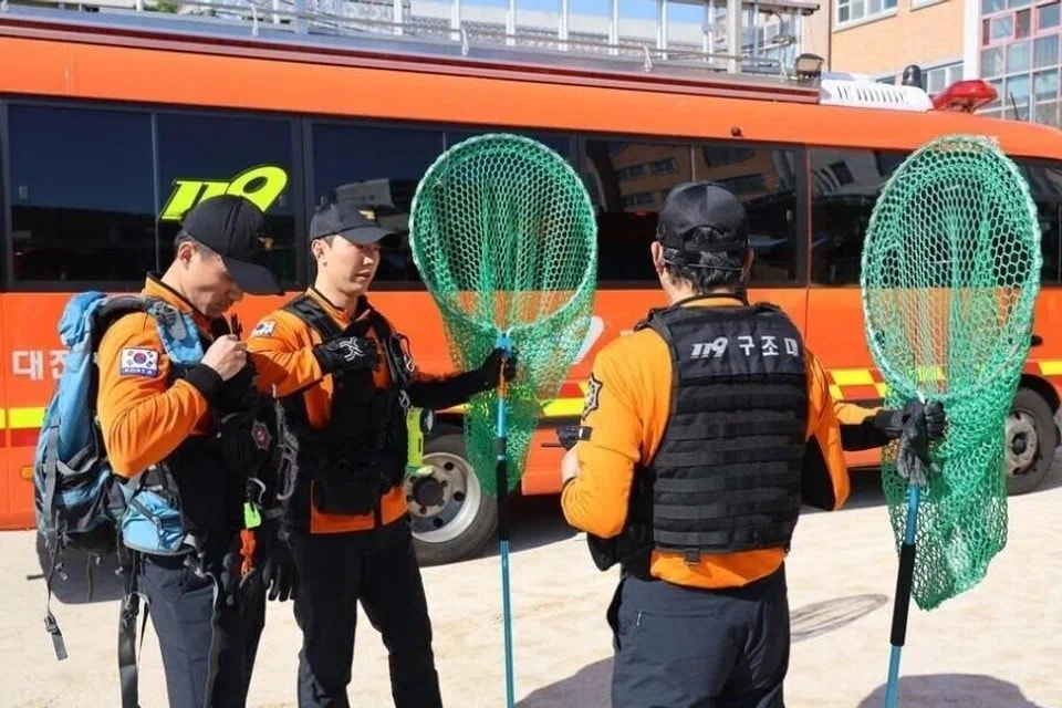 தப்பிச் சென்ற ஓநாய்: தென்கொரியாவில் பாதுகாப்பு கருதி பள்ளி மூடல்!