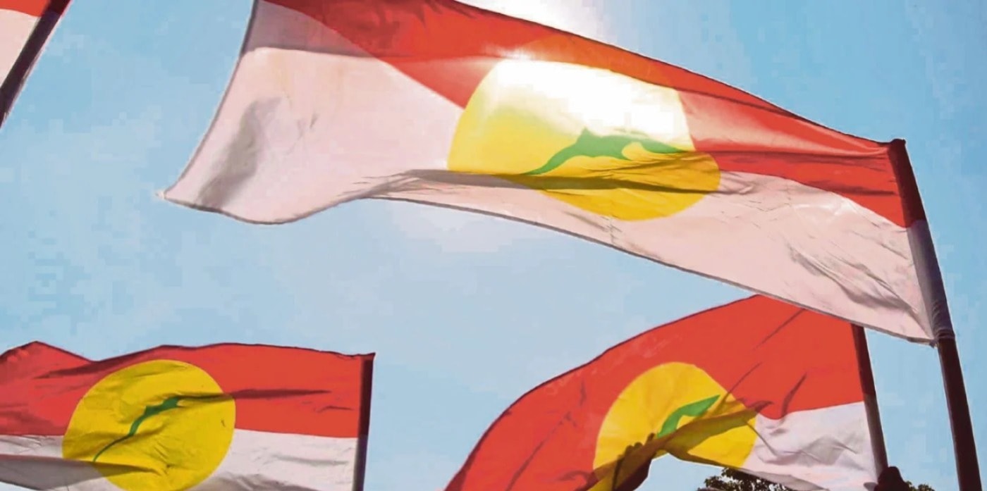 அம்னோ ரூமா பாங்சா முயற்சிக்கு சிறப்பான வரவேற்பு - முன்னாள் அமைச்சர்கள் உட்பட 100-க்கும் மேற்பட்ட விண்ணப்பங்கள் பெறப்பட்டுள்ளன