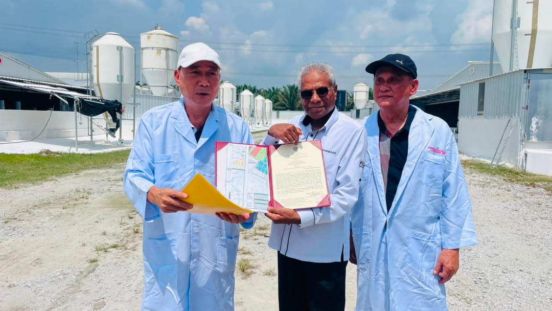 பேராக்கில் பன்றிப் பண்ணைகள் நவீனமயமாக்கல் தீவிரம்: ஆட்சிக்குழு உறுப்பினர் டத்தோ சிவநேசன் தகவல்