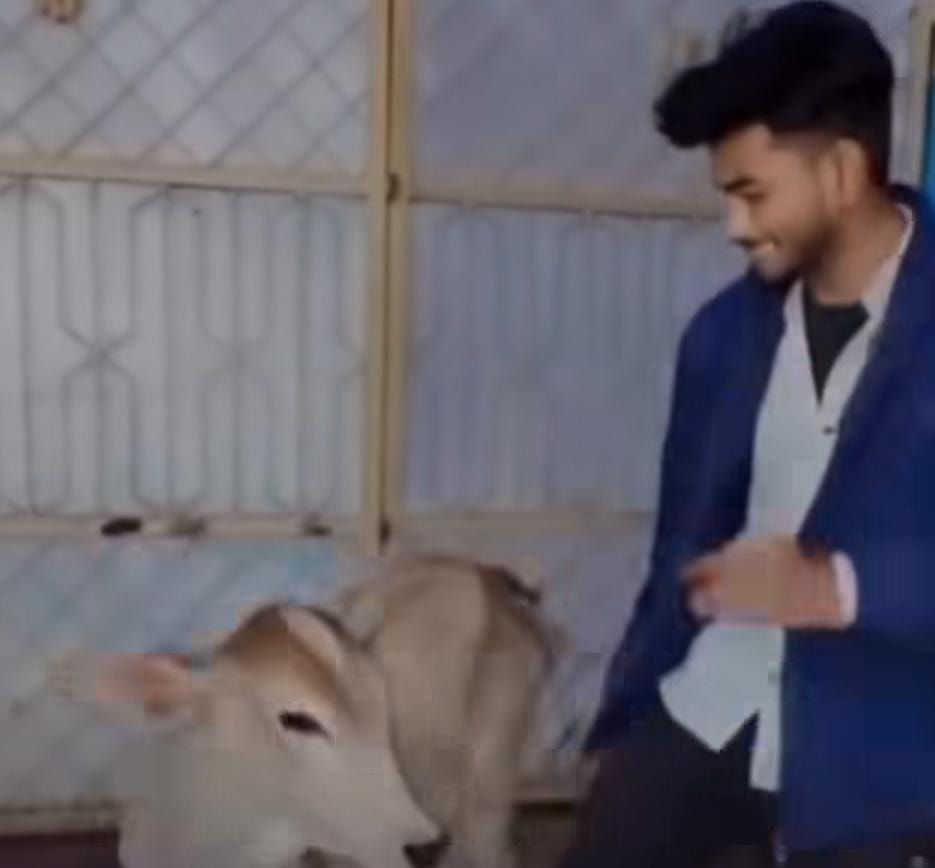 கன்றுக்குட்டியுடன் நடனமாடிய நபர்