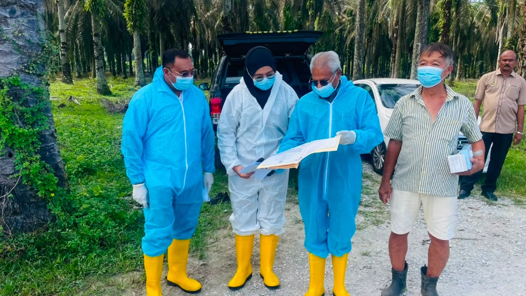 பேராக் பன்றிப் பண்ணைகள் நவீனமயமாக்கல்: டத்தோ அ. சிவநேசன்