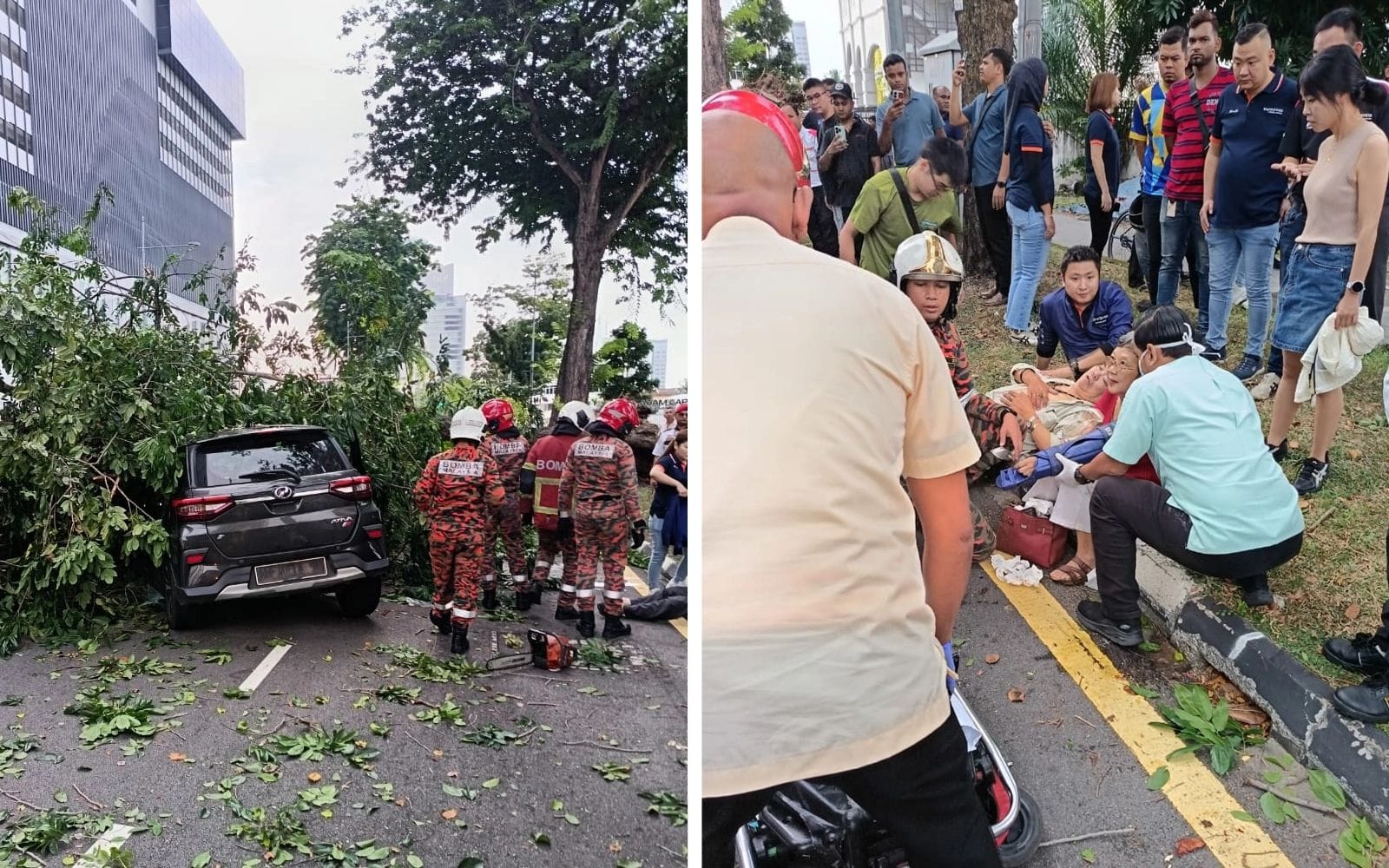 பினாங்கில் காரை நசுக்கிய ராட்சத மரம் - அதிர்ஷ்டவசமாக உயிர் தப்பிய 3 பேர்