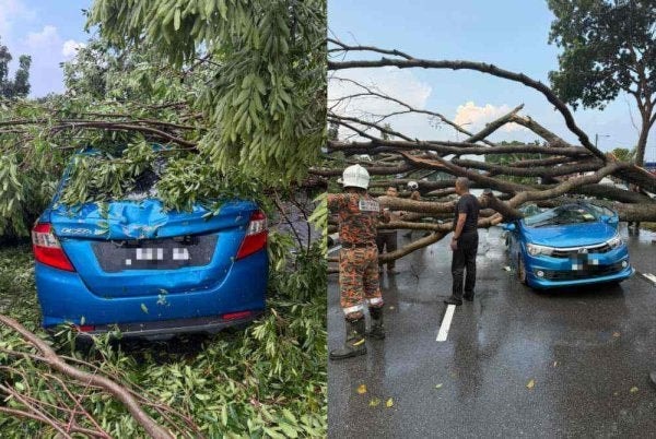 ஈப்போவில் இரு கார்களின் மீது மரம் விழுந்து சேதம்; 6 பேர் உயிர் தப்பினர்